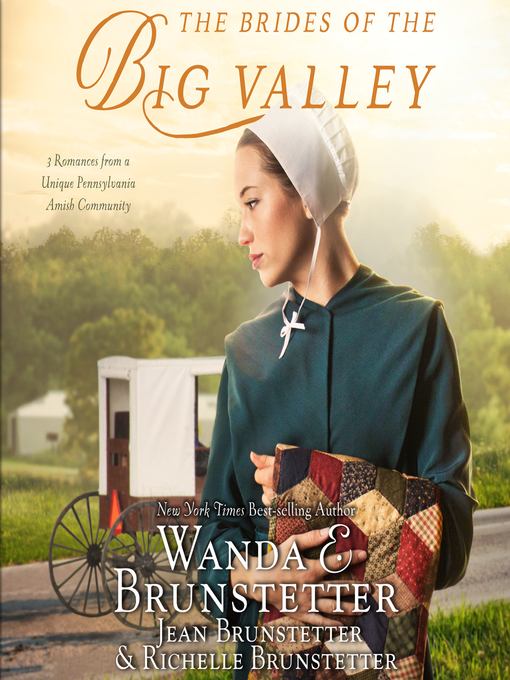 Title details for The Brides of the Big Valley by Wanda E Brunstetter - Available